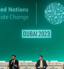 VinFast: Đại diện duy nhất của ĐNA tham luận tại Diễn đàn Thương mại bền vững – COP28